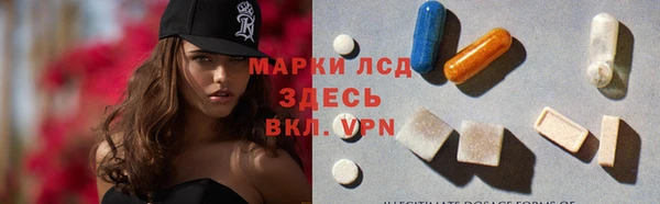 ПСИЛОЦИБИНОВЫЕ ГРИБЫ Инта