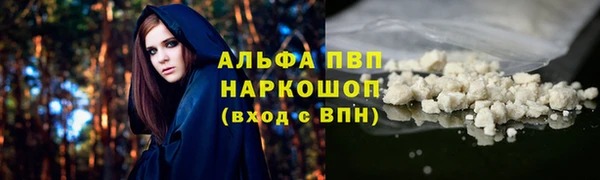 ешки Иннополис