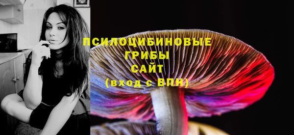 ешки Иннополис